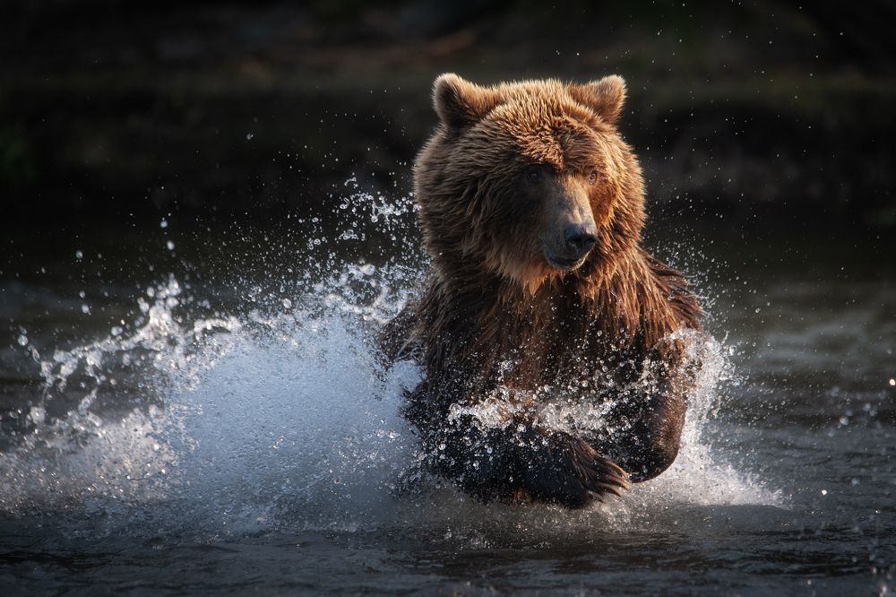 По вечерней реке...