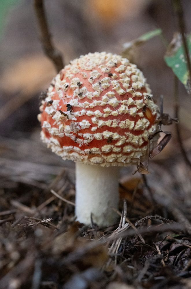 Photograph by Ирина Куриленко