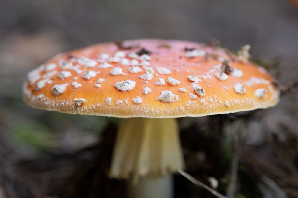 Photograph by Ирина Куриленко