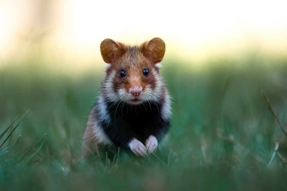 Photograph by Olena Pfister