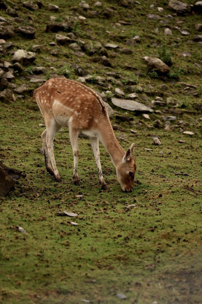 Photograph by Евгения Казакова
