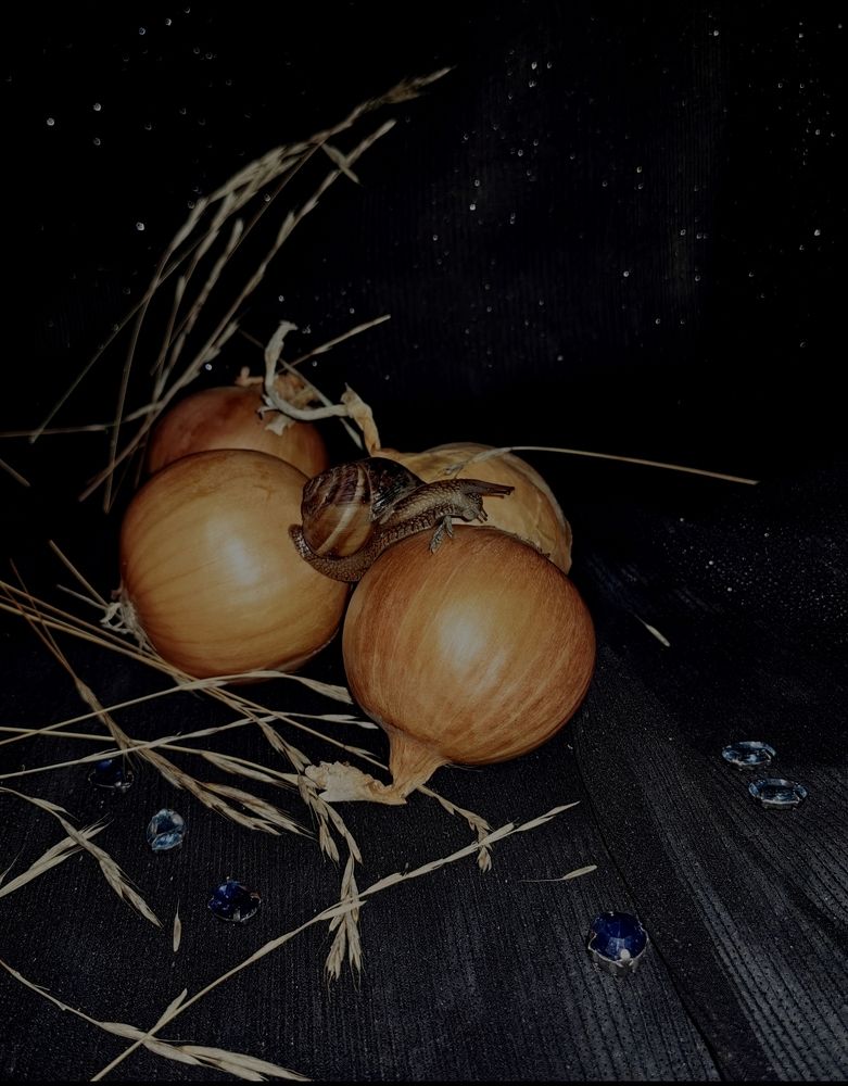 Photograph by Ирина Тихая