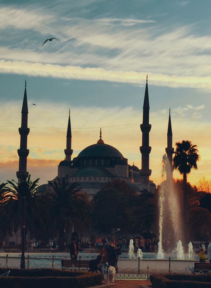 Photograph by Mohamed Larbi Larouk