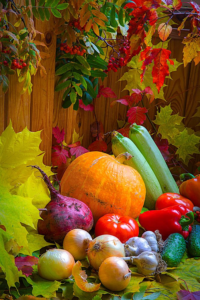 Photograph by Борис Назаров