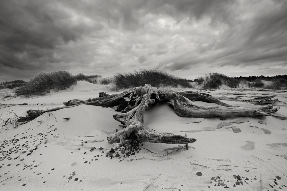 Photograph by Konrad Uznański