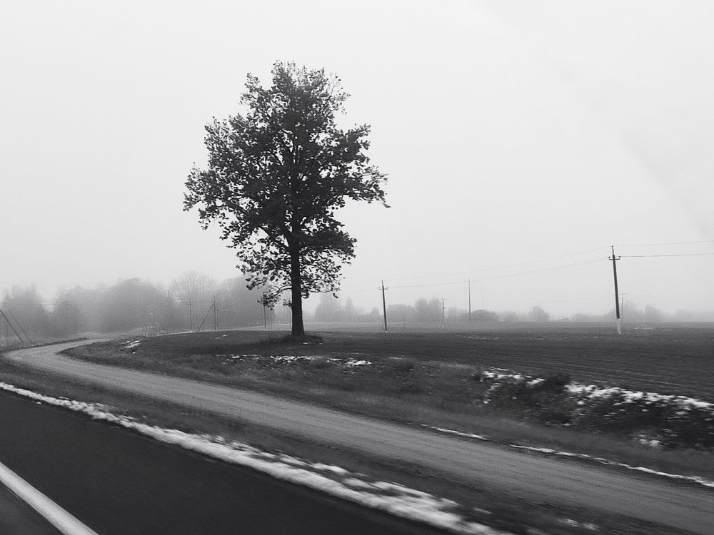 Фотография автора Ирина