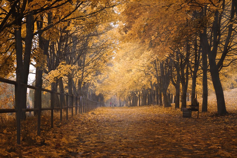 Photograph by Алексей Леухин