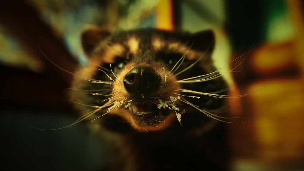 Photograph by Сергей Скоробогатов