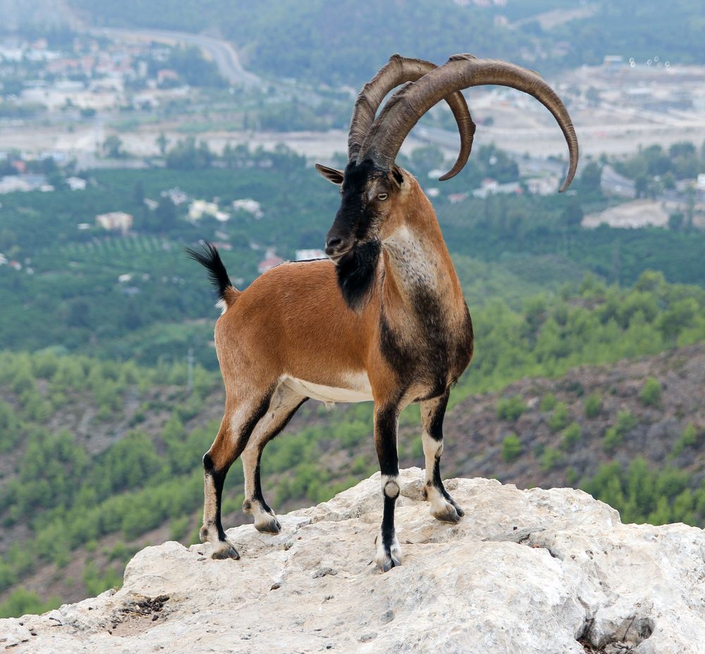 Photograph by Сергей Иванов