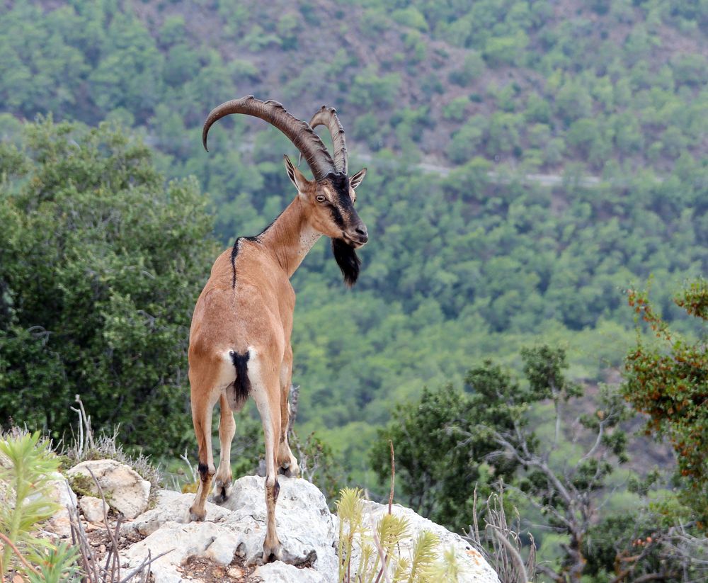 Photograph by Сергей Иванов
