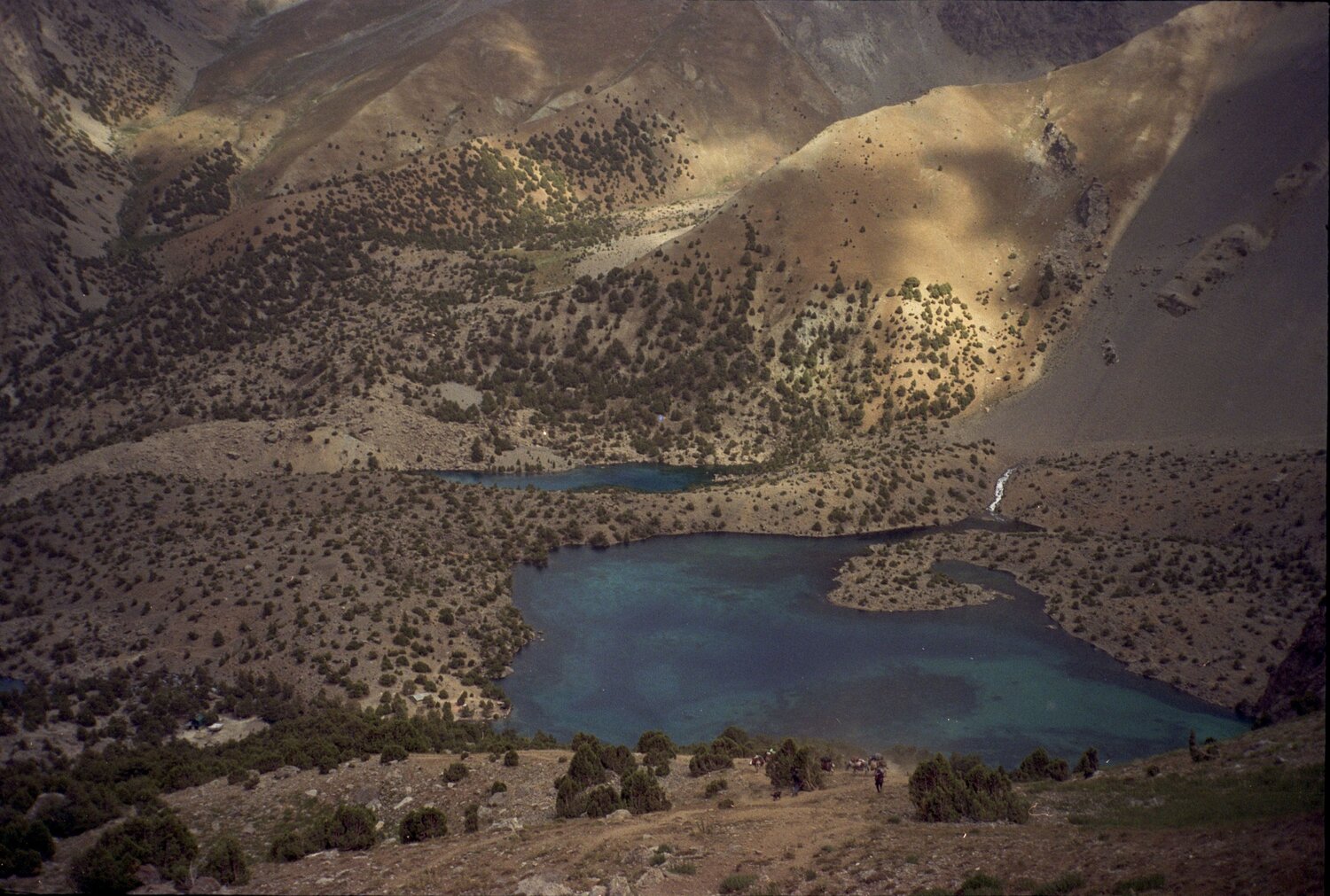 Photo #9856087