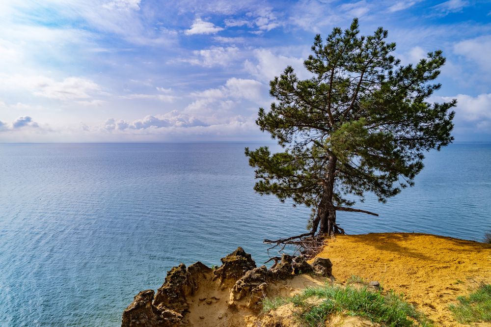 Photograph by Валерий Ларин