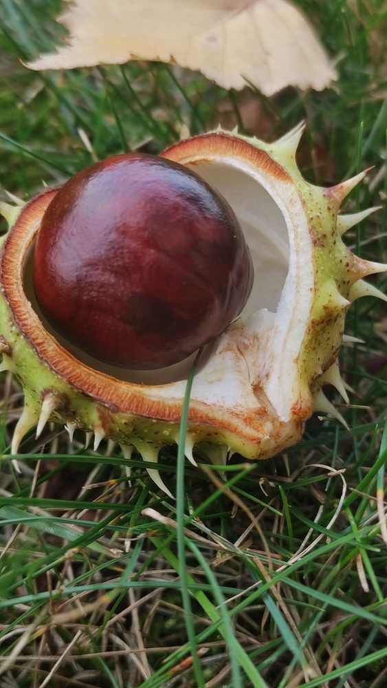 Photograph by Ирина Подлубная