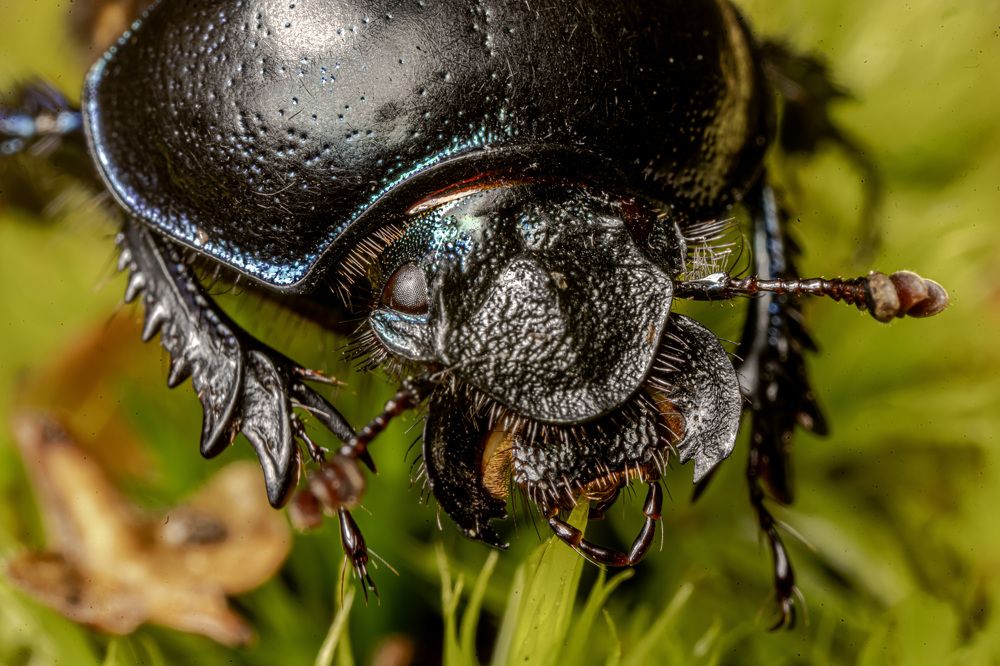 Фотография автора Ruslan Badykov