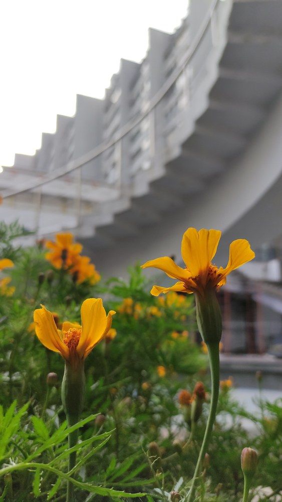 Photograph by Ирина Подлубная