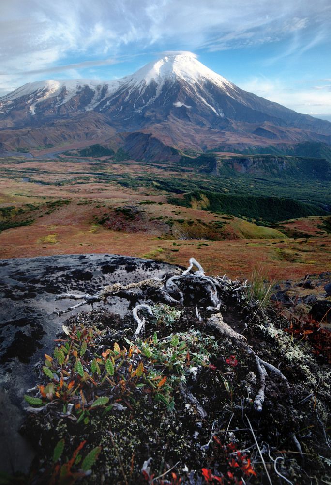 Photograph by Елена Станькова