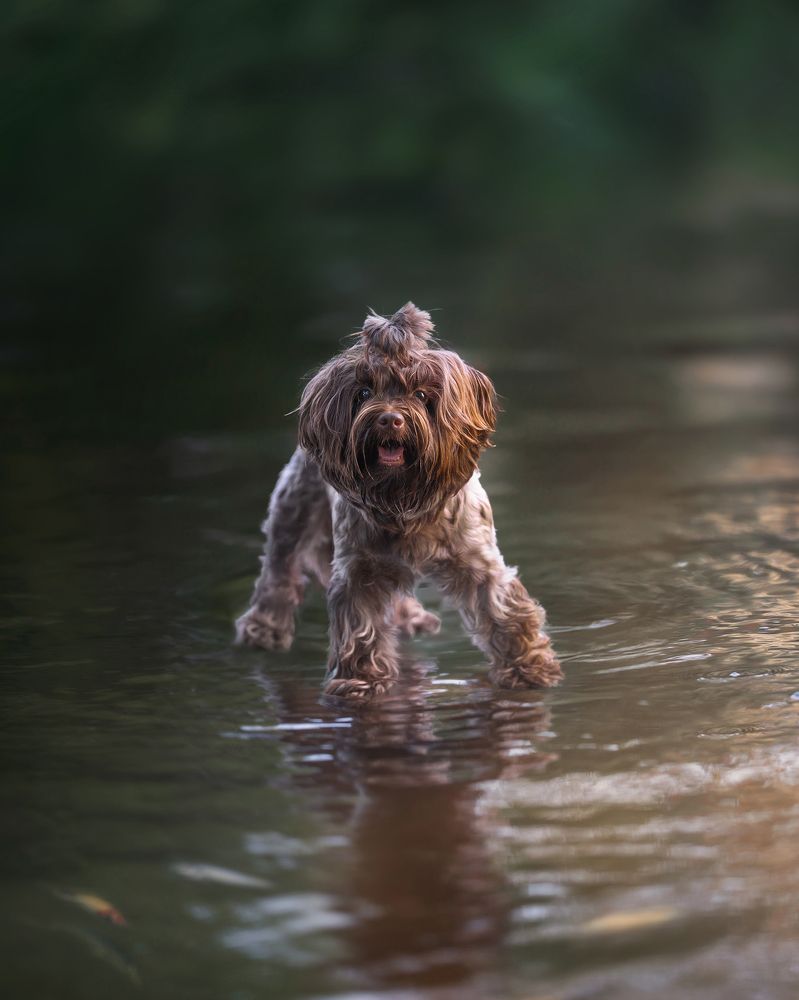 Фотография автора Eugenia Tuzova