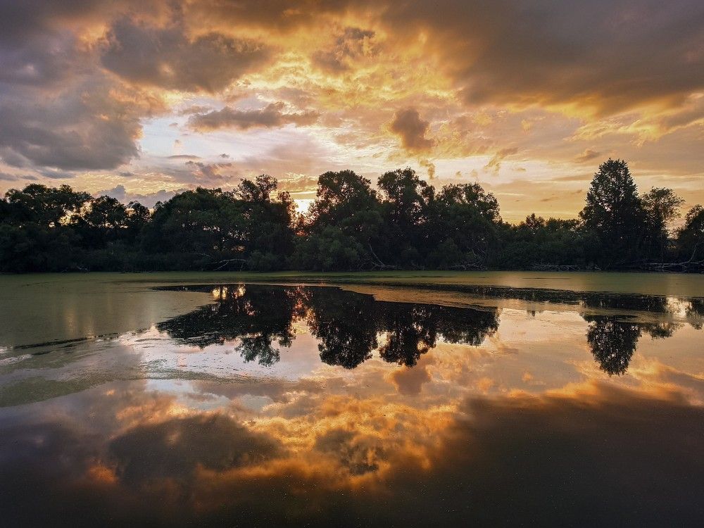 Photograph by Александр Гунин