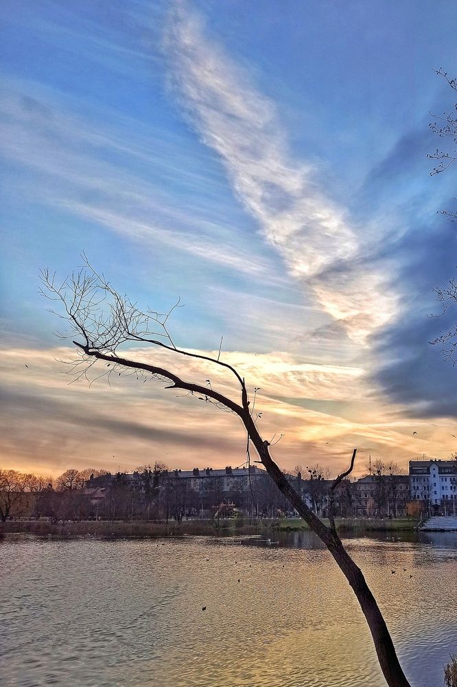 Photograph by Дина Полухина