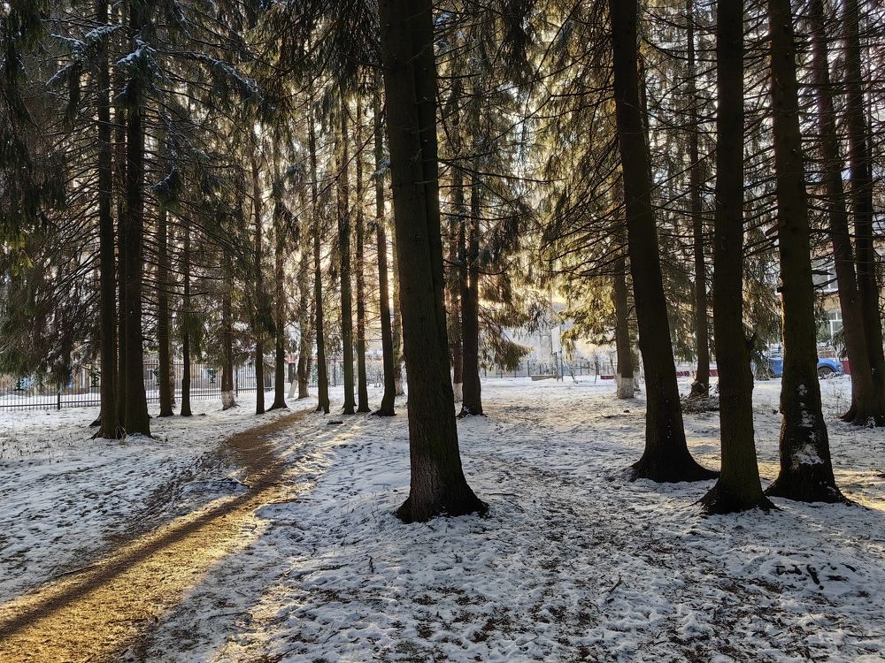 Photograph by Alexandr