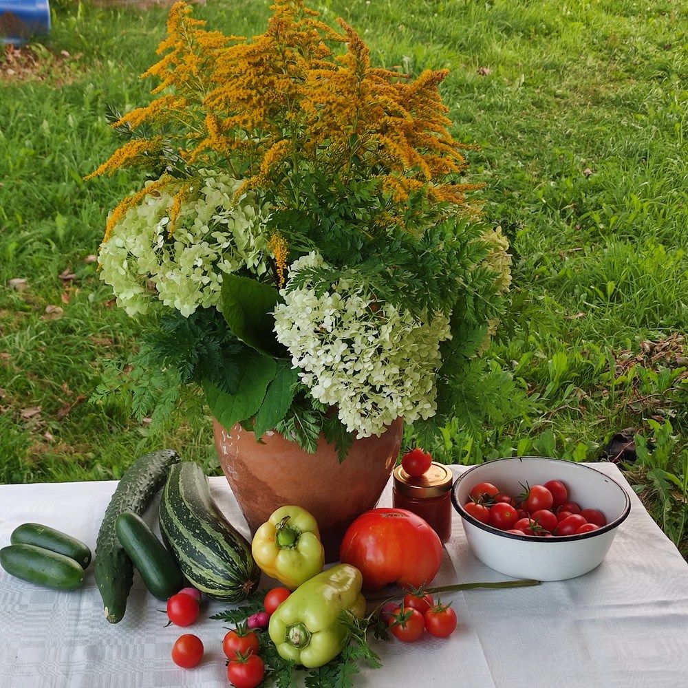 Photograph by Ирина Подлубная