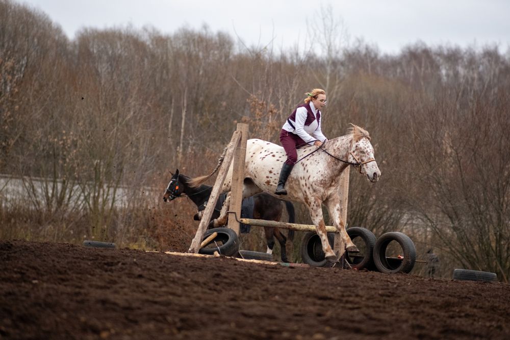 Photograph by Алексей Миронов