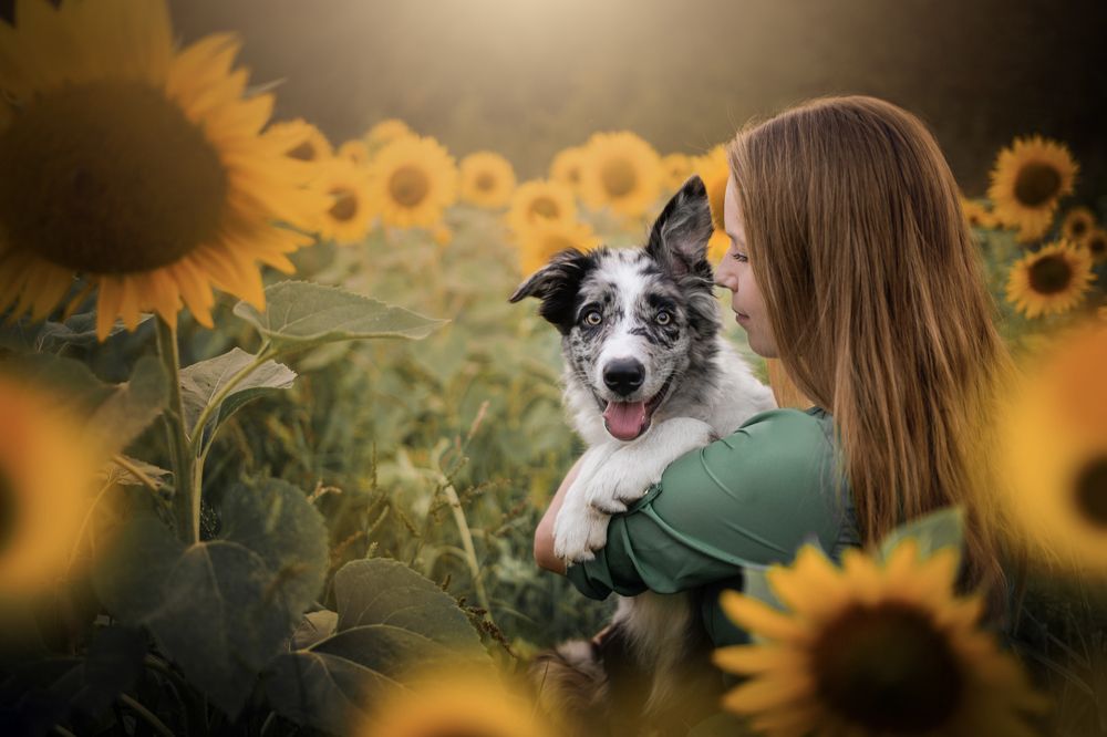 Photograph by Nikol Kopp