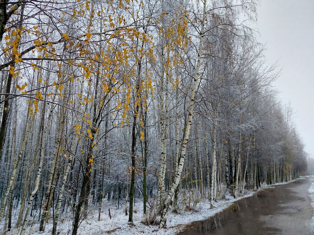 Фотография автора Светлана Дунаева