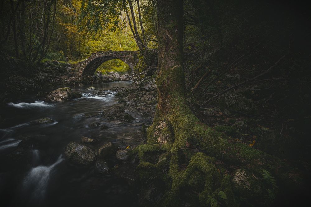 Photograph by Luca Menotti