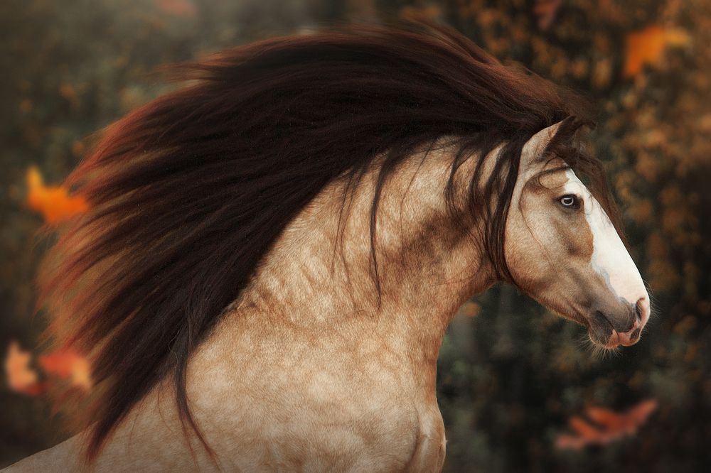 Photograph by Дарья Ералева