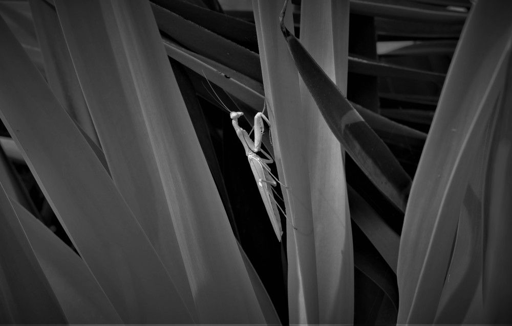 Photograph by Berk Karacin