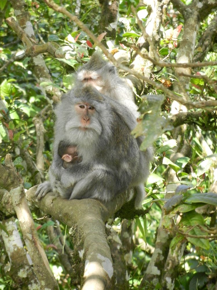 Photograph by Алексей Малеев