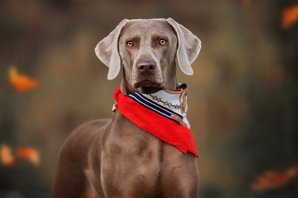 Photograph by Дарья Ералева