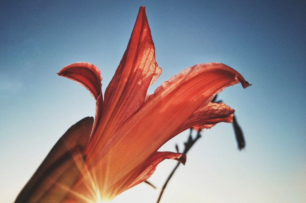 Photograph by Анна Любимова