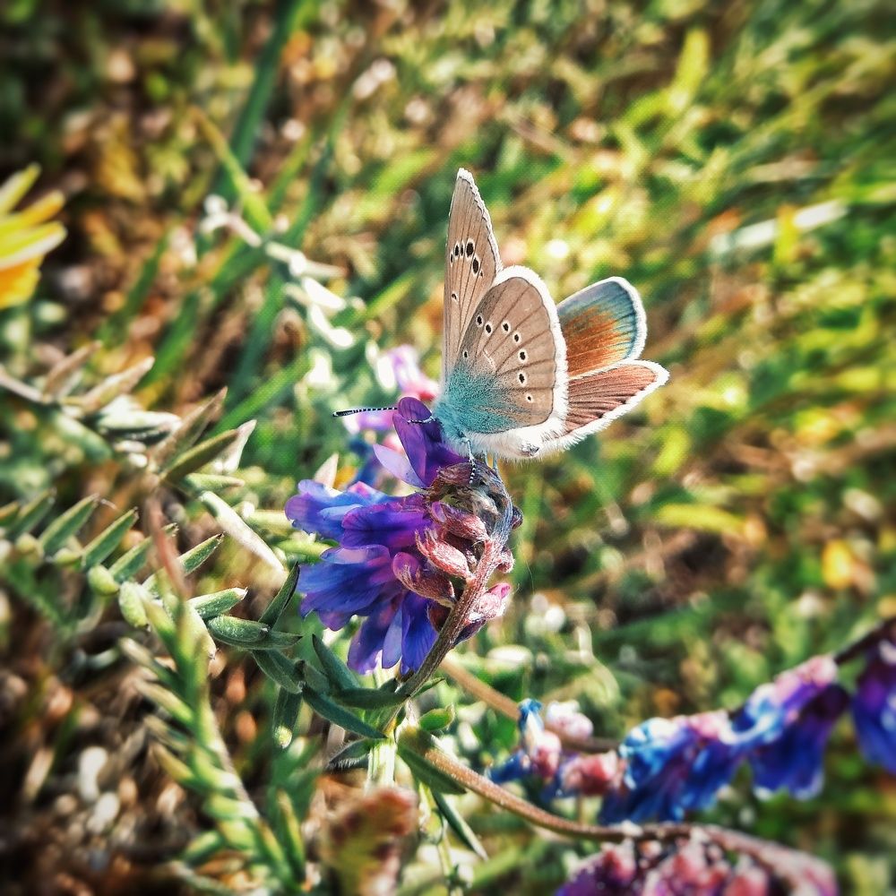 Photograph by Анна Любимова