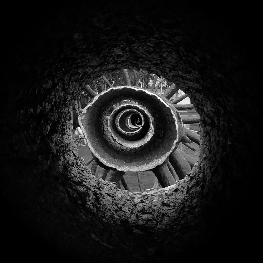 Photograph by Александр Фокин