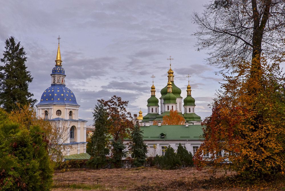 Фотография автора Панасюк Елена
