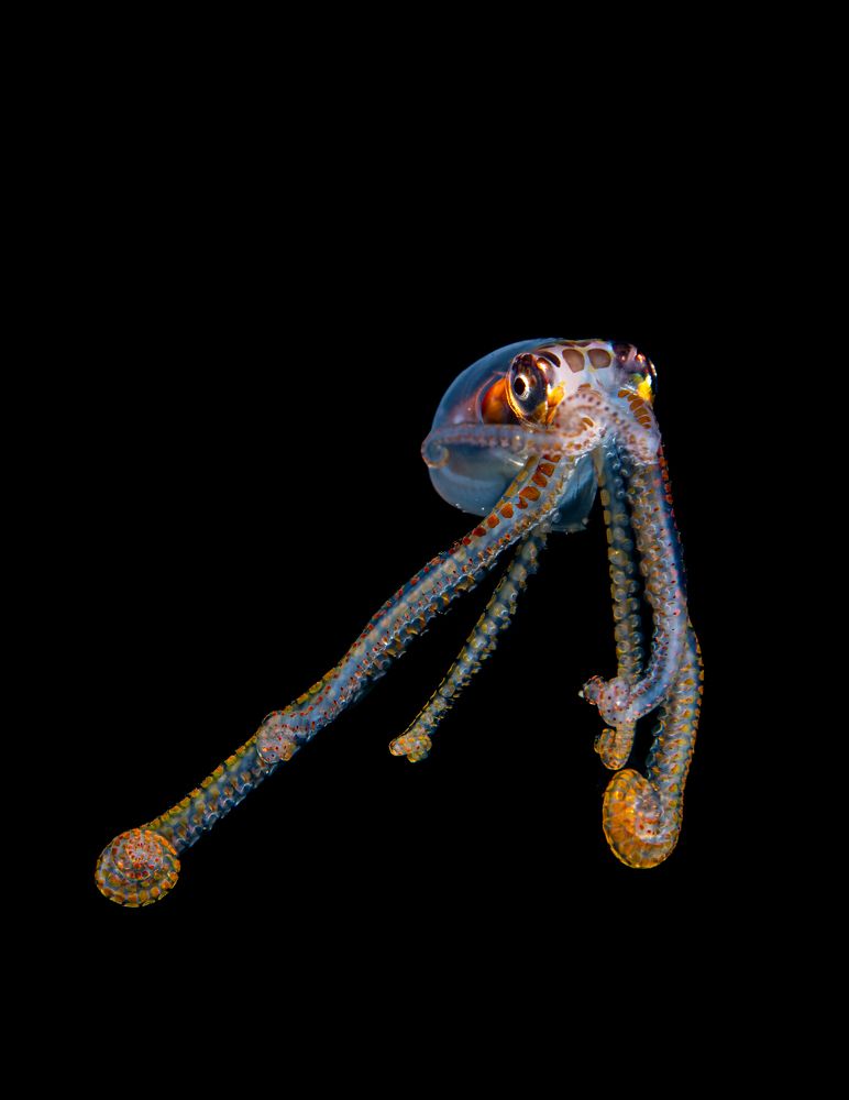 Photograph by Magali Marquez