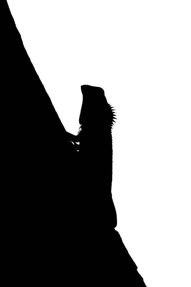 Photograph by Benjamine Dharashan