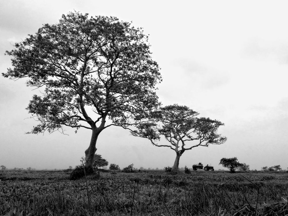 Photograph by Benjamine Dharashan