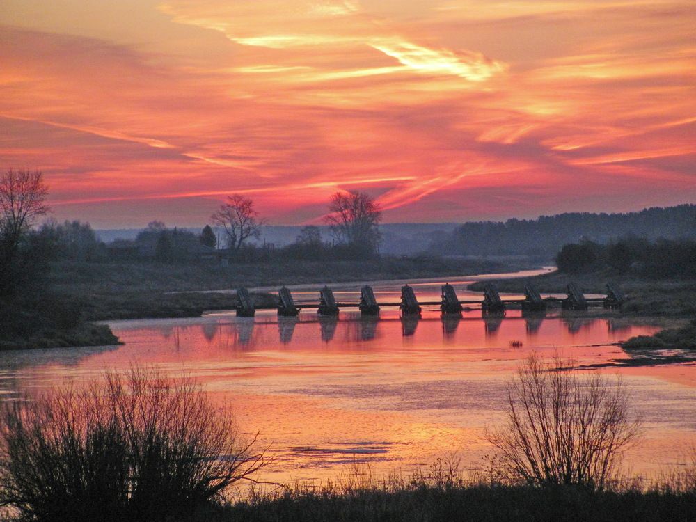 Photo #9857121