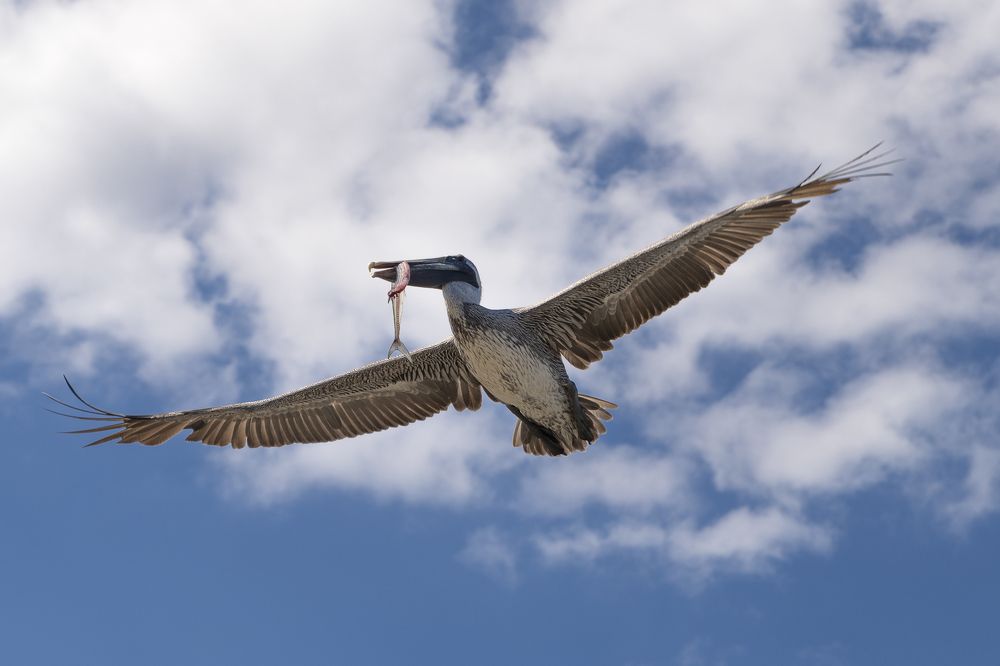 Photograph by Abel Cancino Gutierrez
