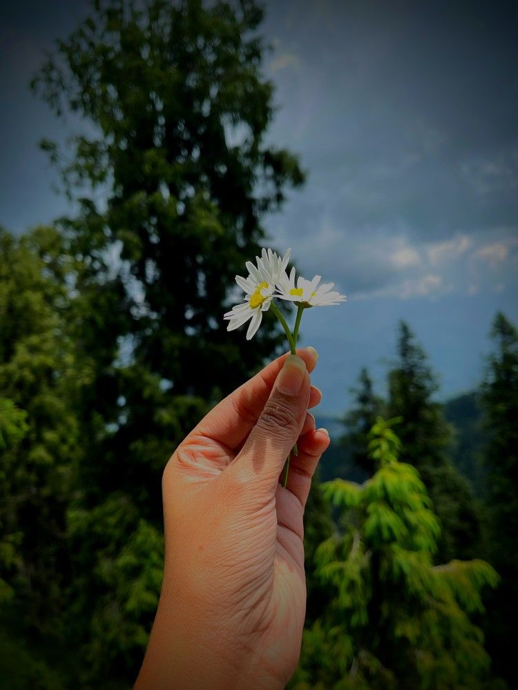 Photograph by Kirtija Rastogi