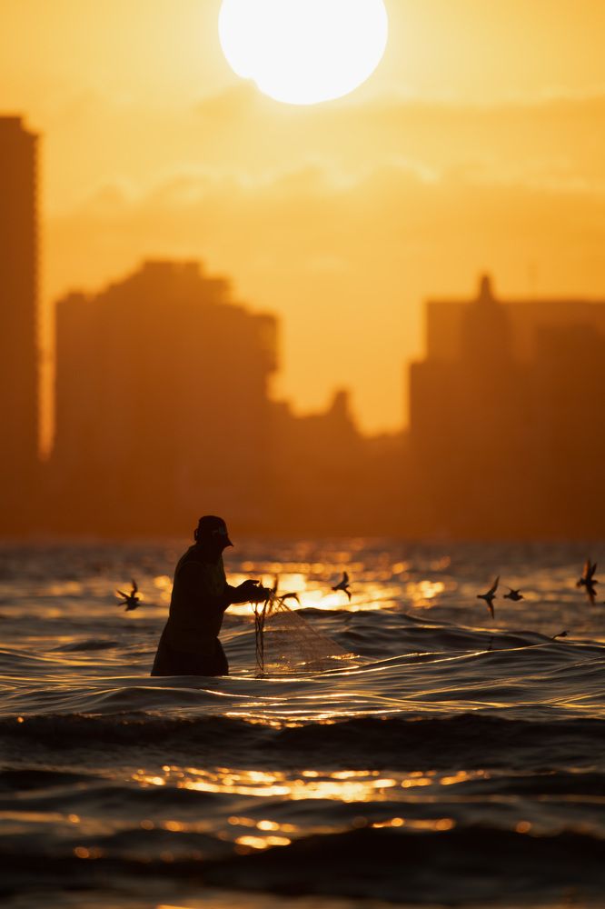 Photograph by Abel Cancino Gutierrez