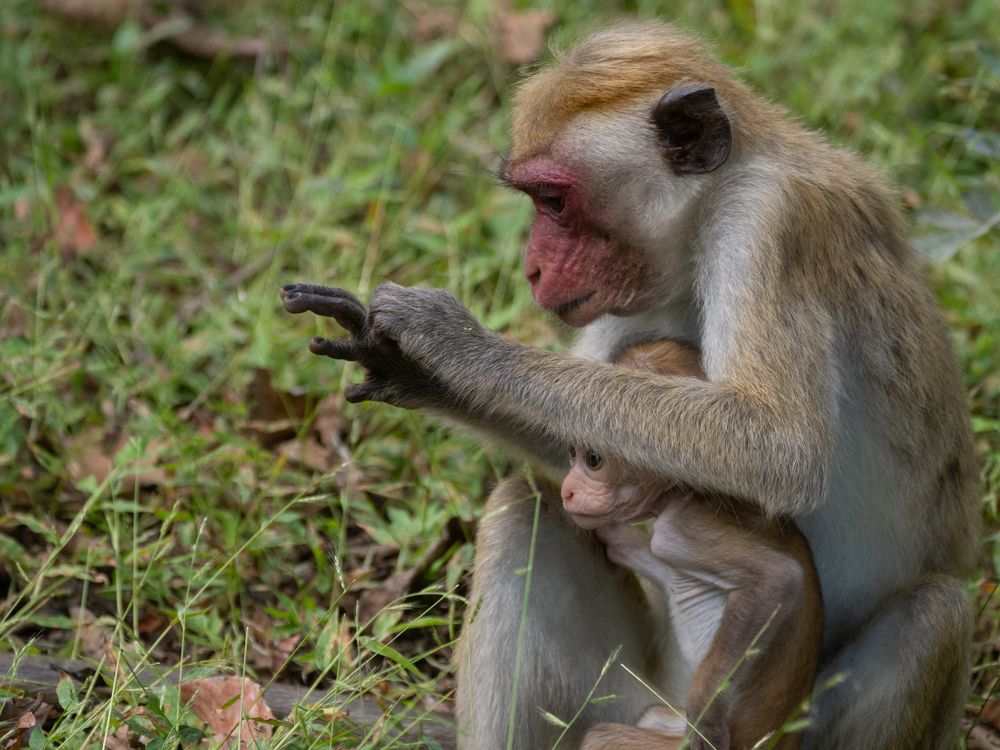 Photograph by Henk Goossens