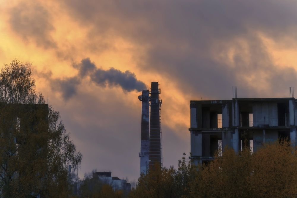 Photograph by Света Богоявленская