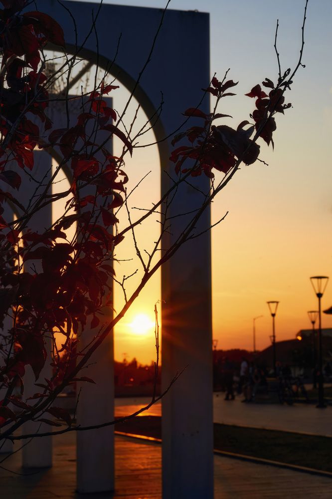 Photograph by Света Богоявленская