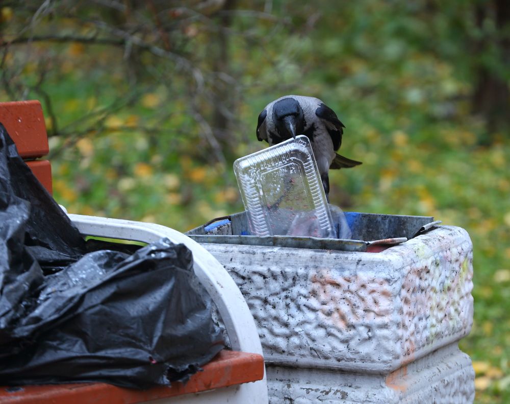 Photograph by Станислав Вершинин