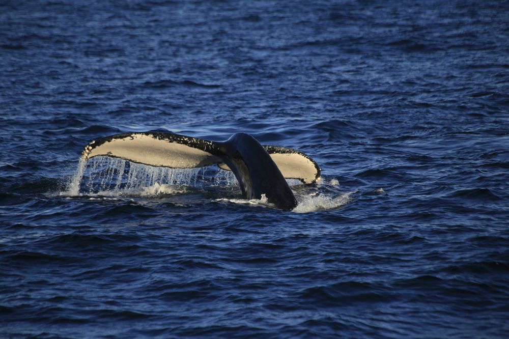 Photograph by Cecilia Islas