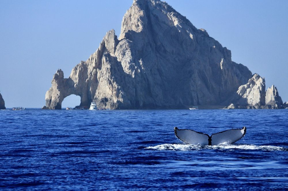 Photograph by Cecilia Islas